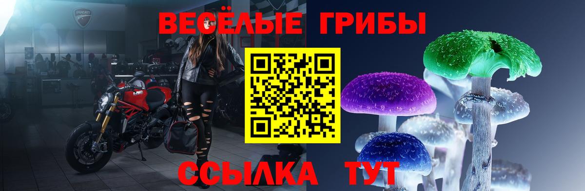Псилоцибиновые грибы Psilocybe Коломна